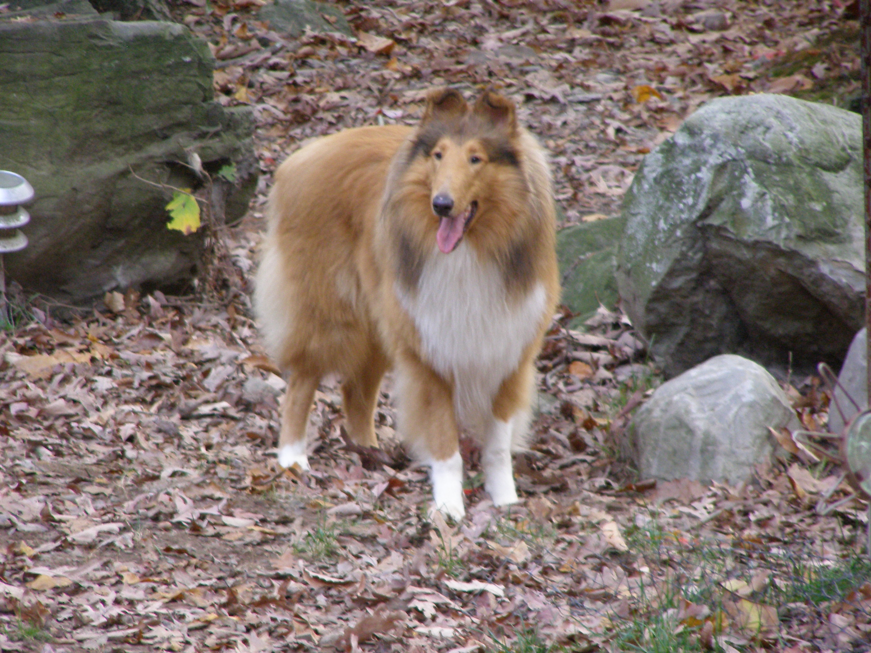 Calvin at 13 months